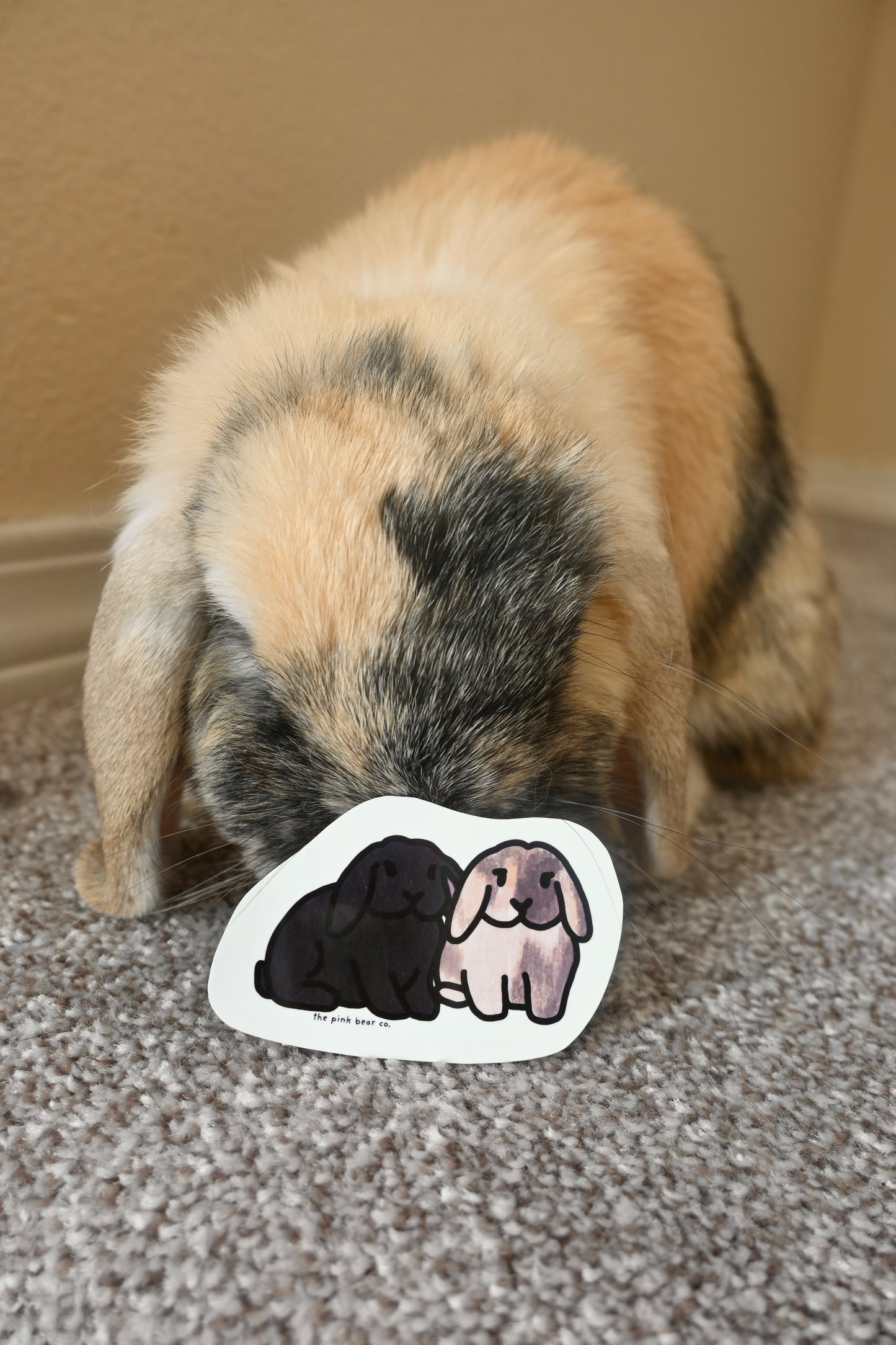 Luna and Finley sticker