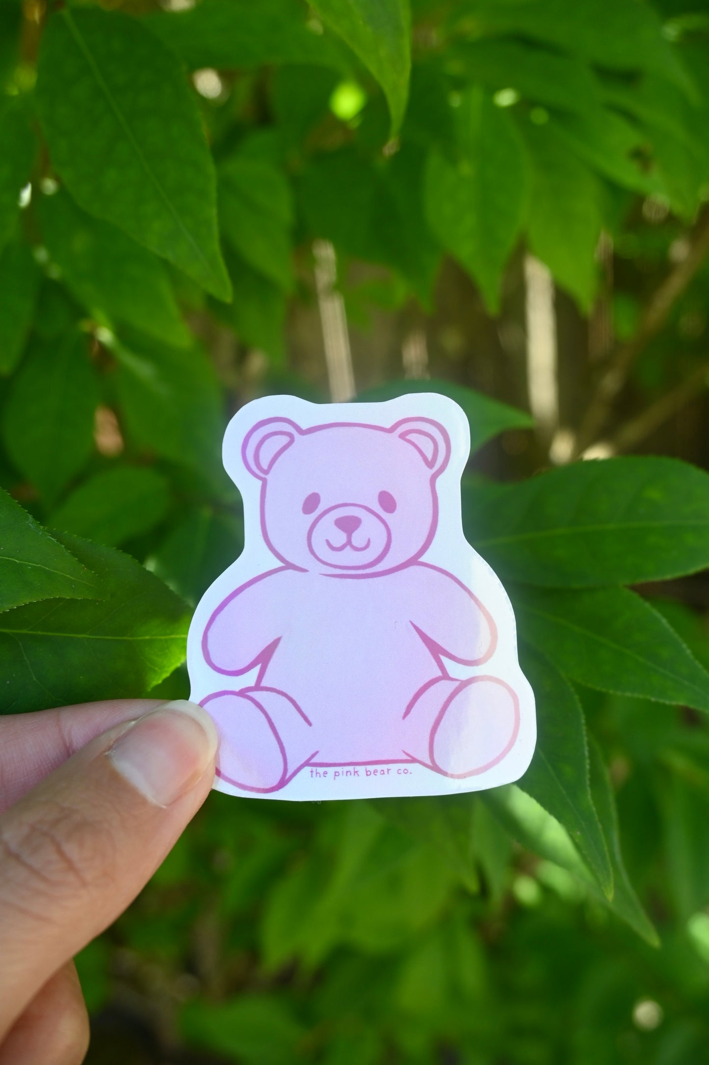 Pink Bear Co. Sticker