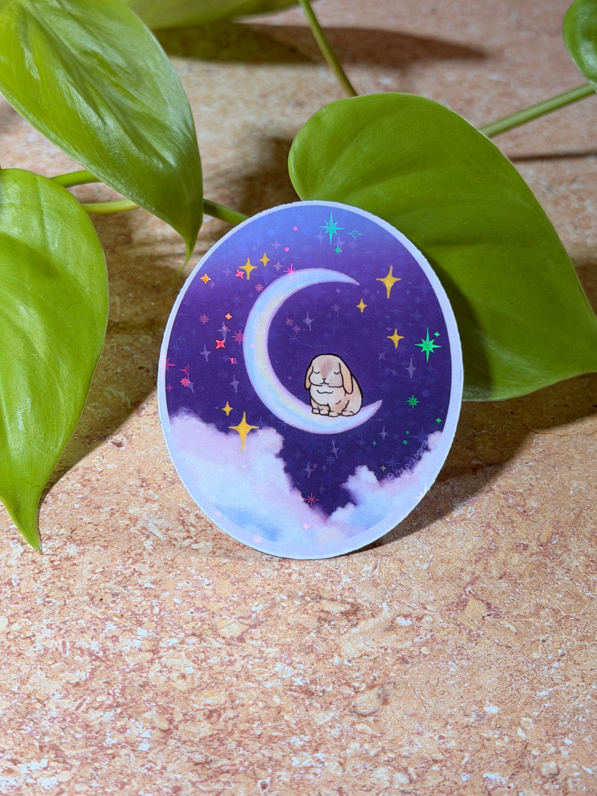 La Luna Collection