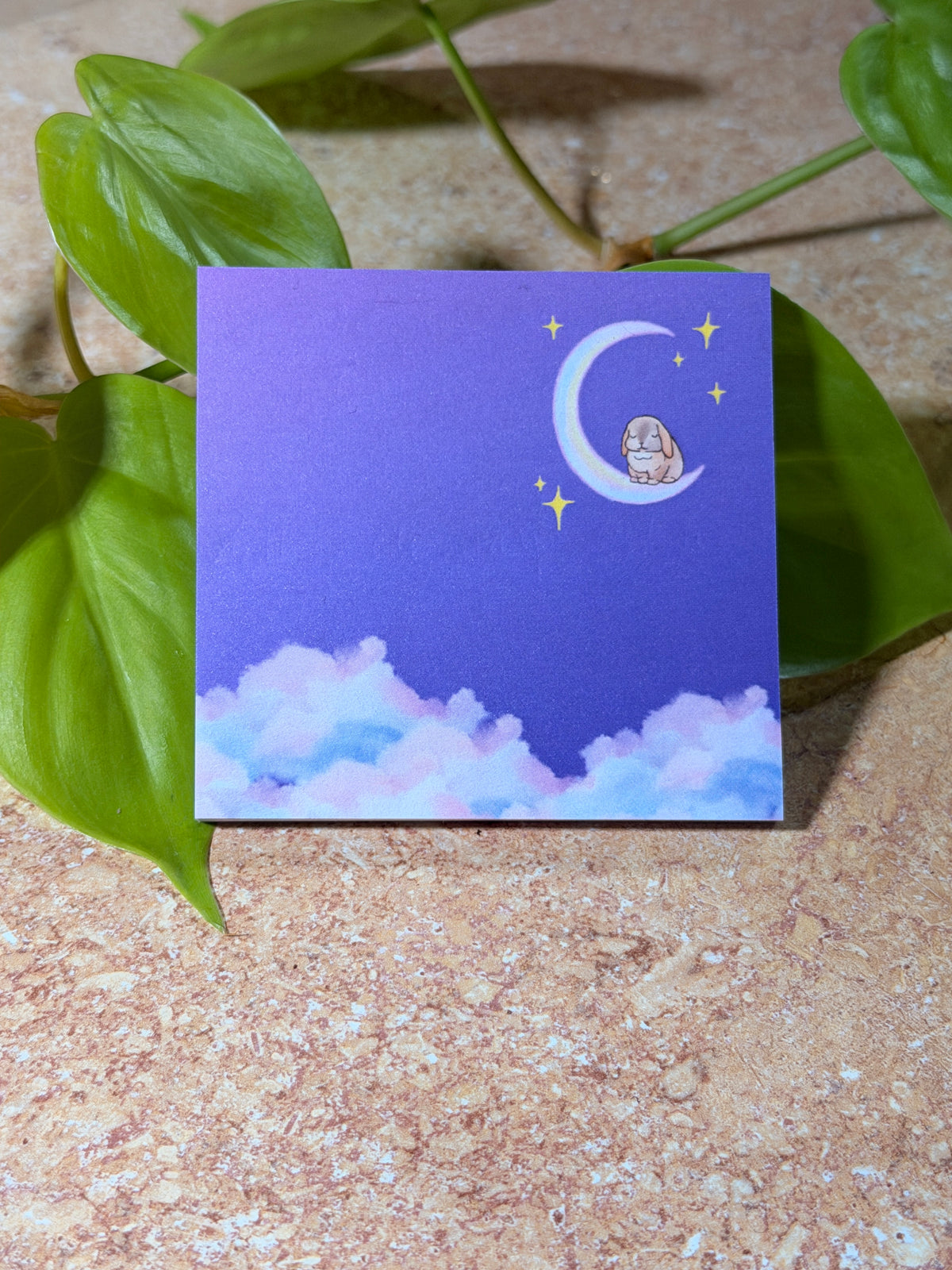 La Luna Collection